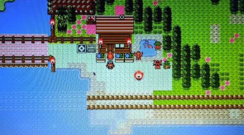 Pokewilds || pokemon wilds